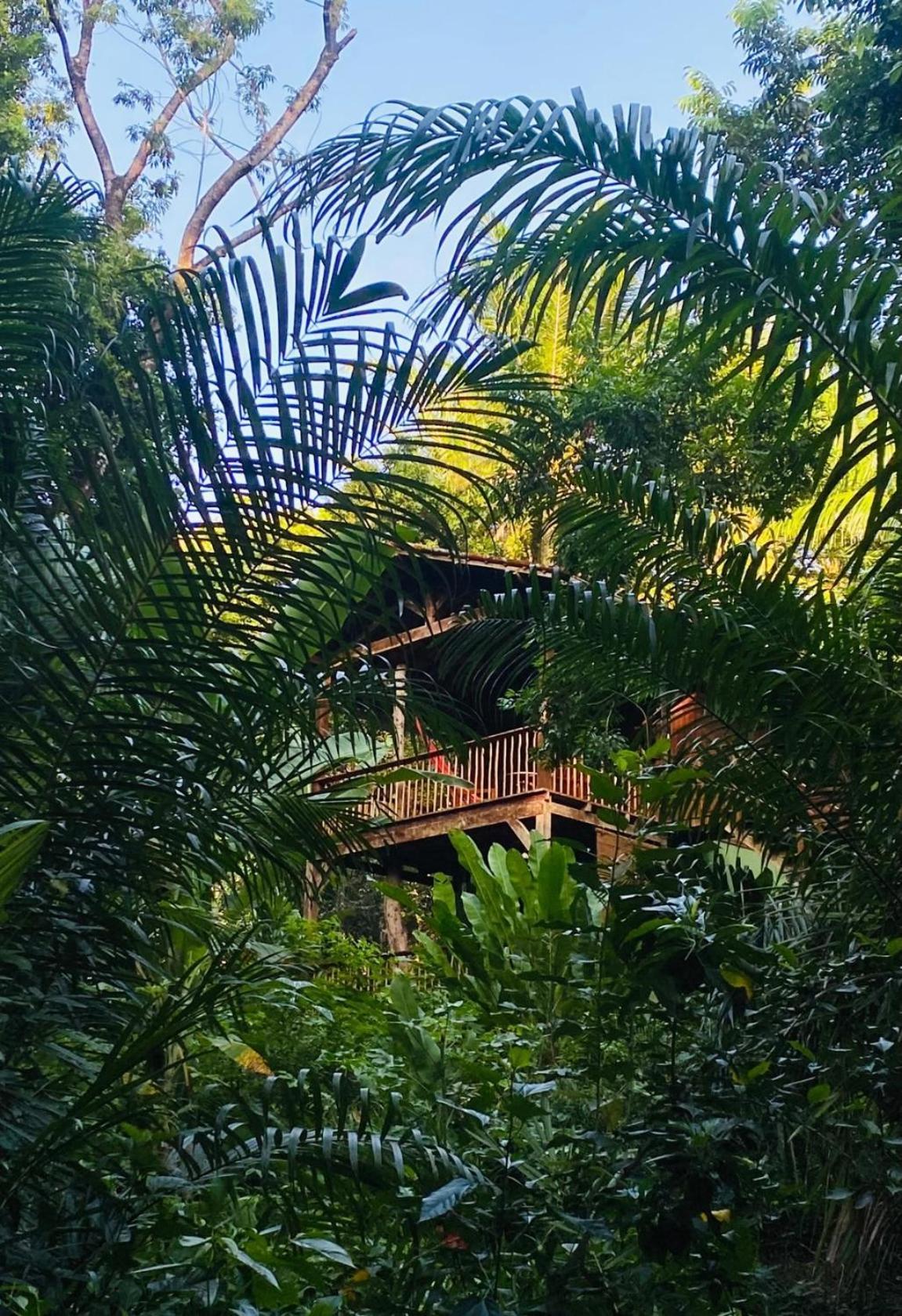 Pousada Anjali Velha Boipeba ภายนอก รูปภาพ